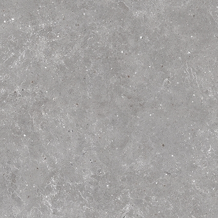 Плитка (900x900x20) 0186031 Ar_Gent Ash Grip Rett