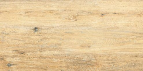 Плитка (1198x598x20) DAKV6896 Pino Bloom 60X120X2 R11 Rect., beige